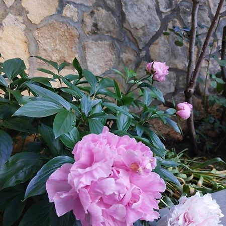 Bed and Breakfast Da Noi Due Bergamo Zewnętrze zdjęcie