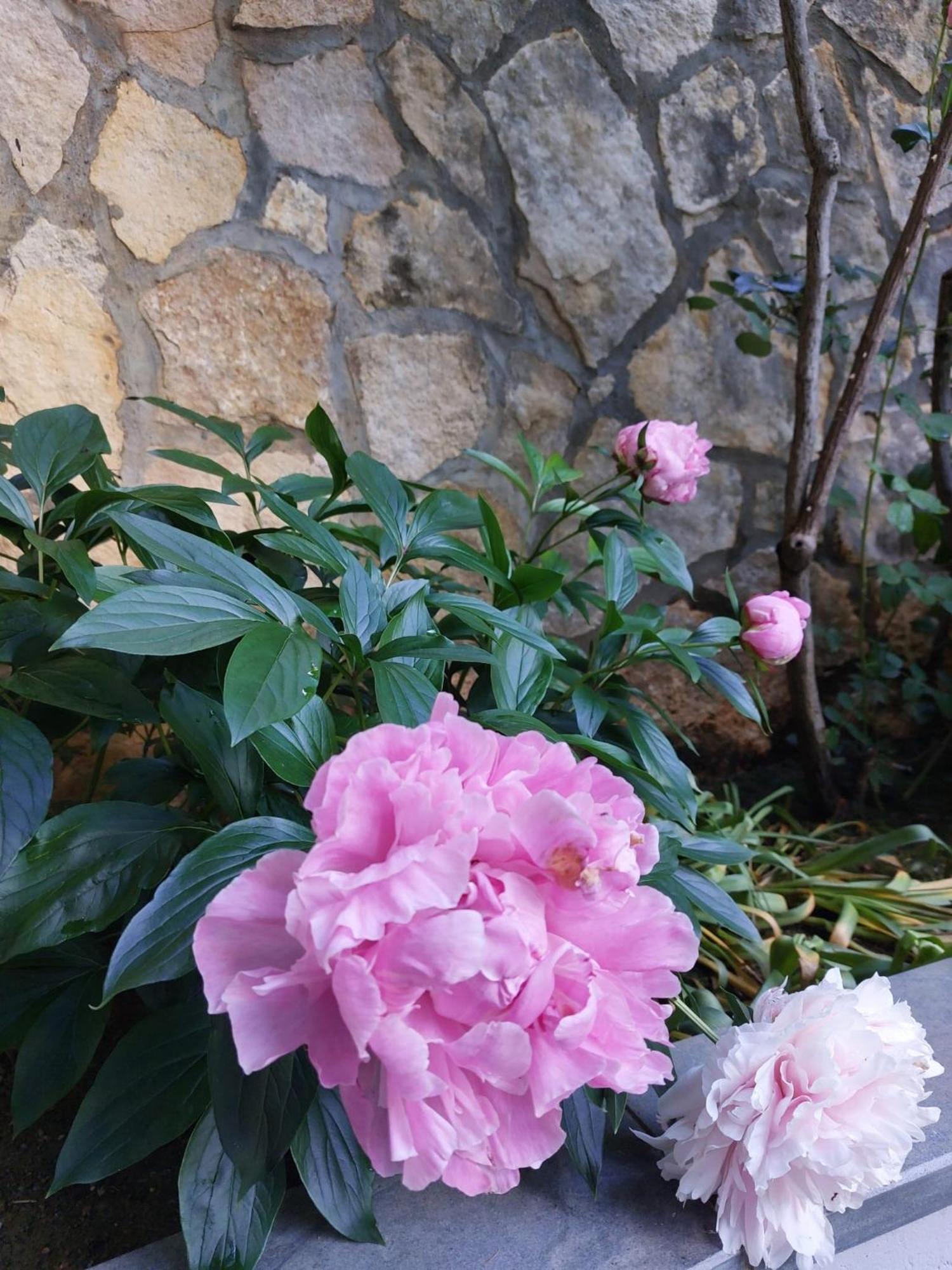Bed and Breakfast Da Noi Due Bergamo Zewnętrze zdjęcie